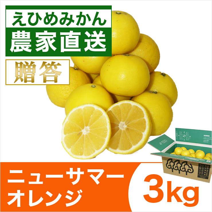 ニューサマーオレンジ3kg