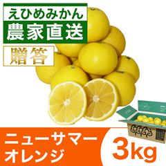 ニューサマーオレンジ3kg