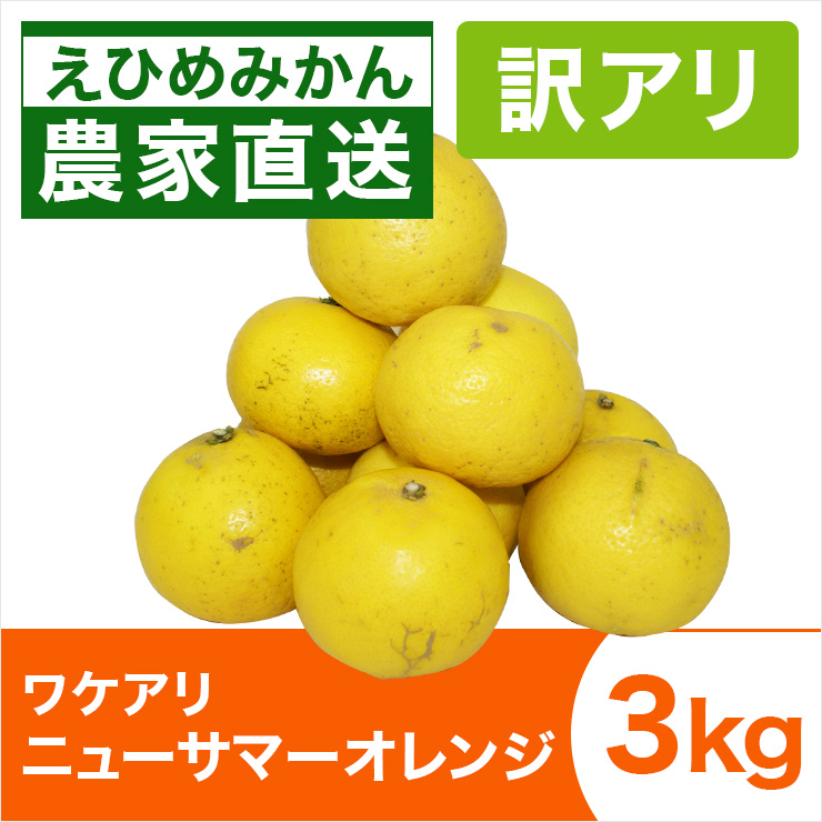 ワケアリニューサマーオレンジ3kg