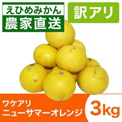 ワケアリニューサマーオレンジ3kg